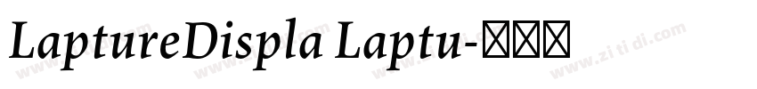 LaptureDispla Laptu字体转换